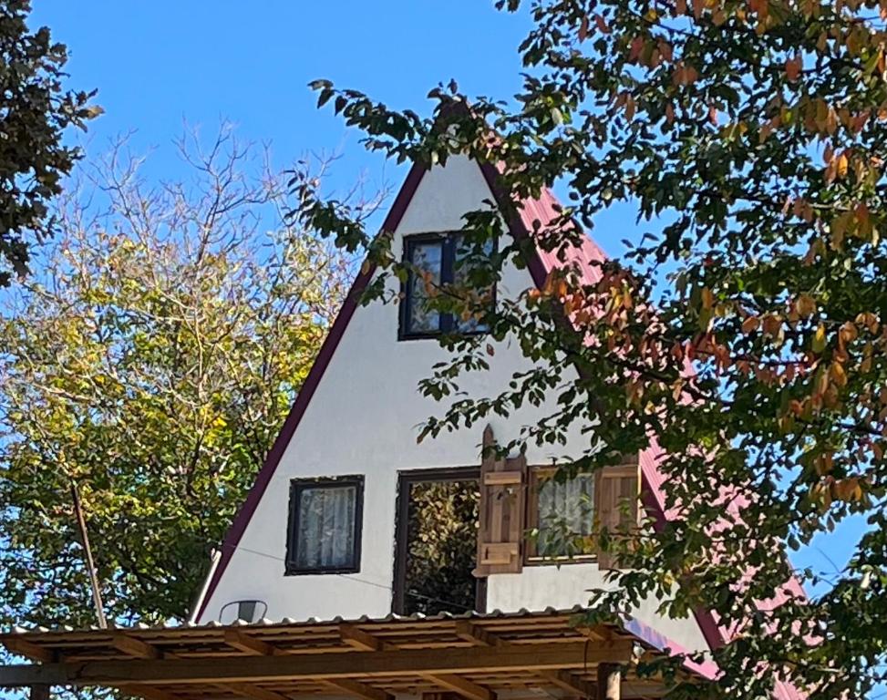 ein Haus mit einem spitzen Dach mit einem Baum in der Unterkunft Crângul Verde in Minciuneşti