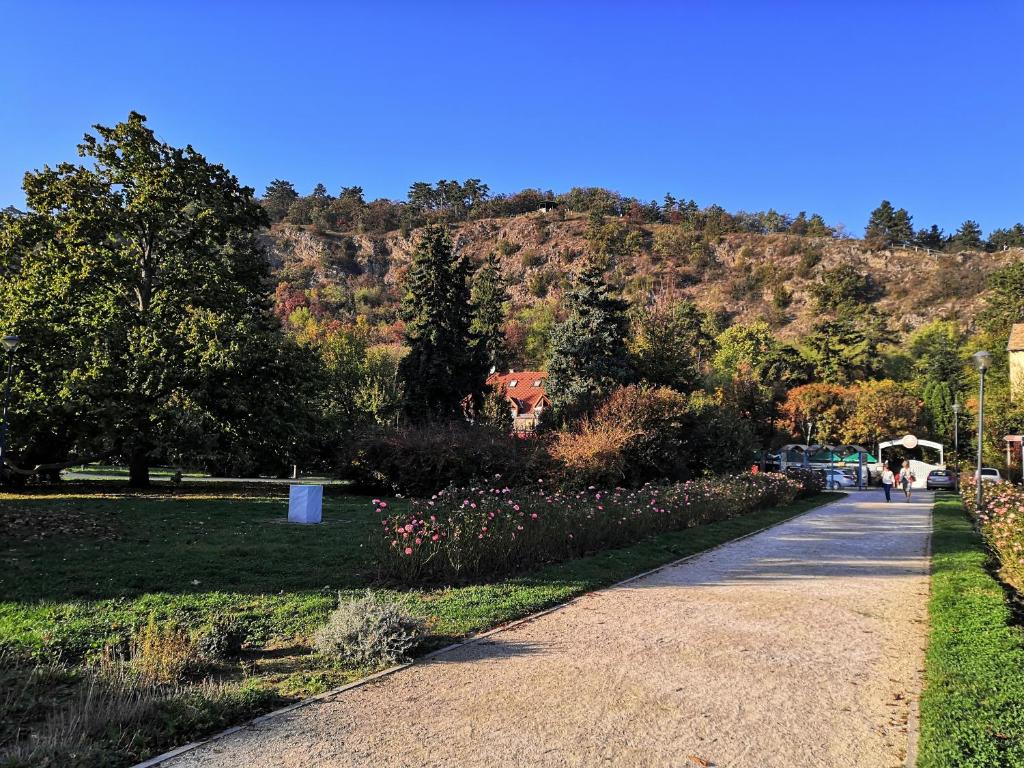 un sentiero in un parco con una montagna sullo sfondo di Vince apartman a Pécs