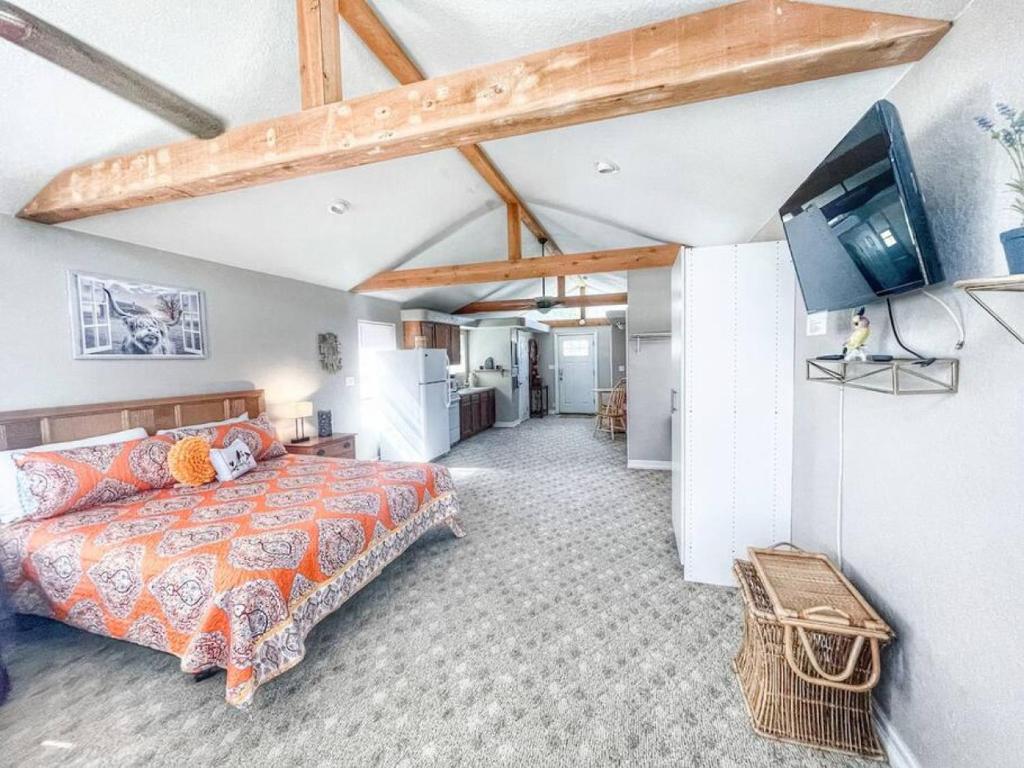 Pecan Creek Haus on River Road, New Braunfels (updated prices 2024)