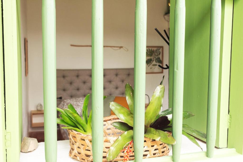 Fotografie z fotogalerie ubytování La Liebre bed and breakfast v destinaci El Retiro