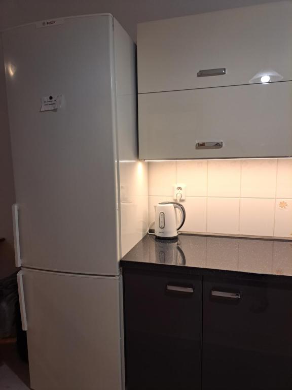 Kuchyň nebo kuchyňský kout v ubytování apartment golden Prague