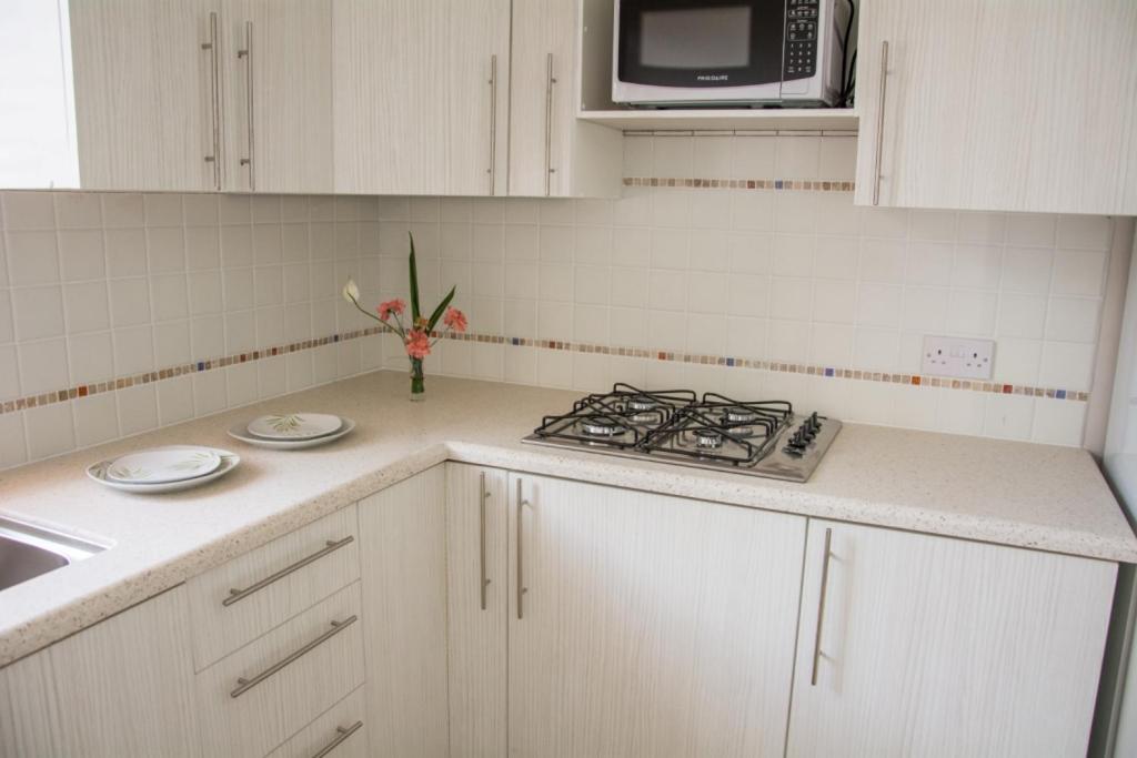 Kuchyň nebo kuchyňský kout v ubytování Morne SeaView Apartments