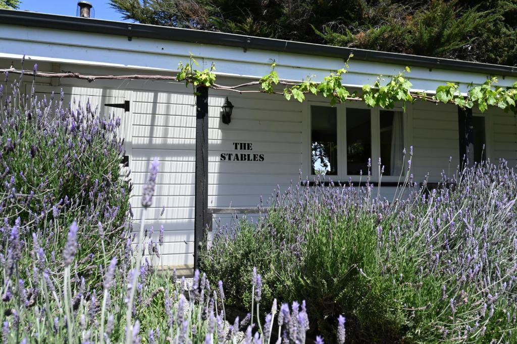 un bâtiment blanc avec un panneau qui lit les plis dans l'établissement St Leonards Vineyard Cottages, à Blenheim