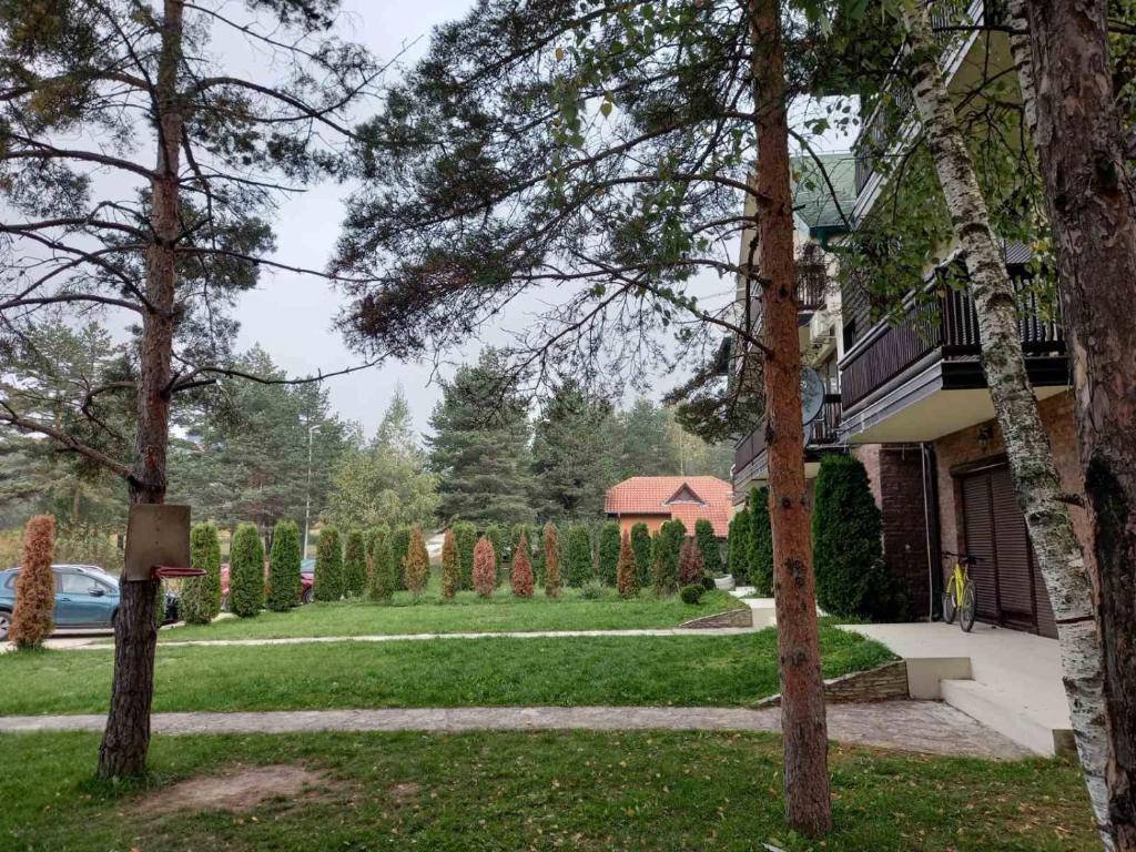 Zahrada ubytování Divčibare Snežna Kraljica ap 13