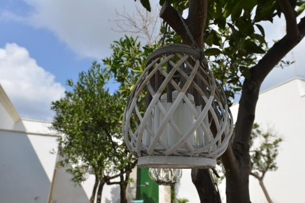 B&B Santachiara - foto 17