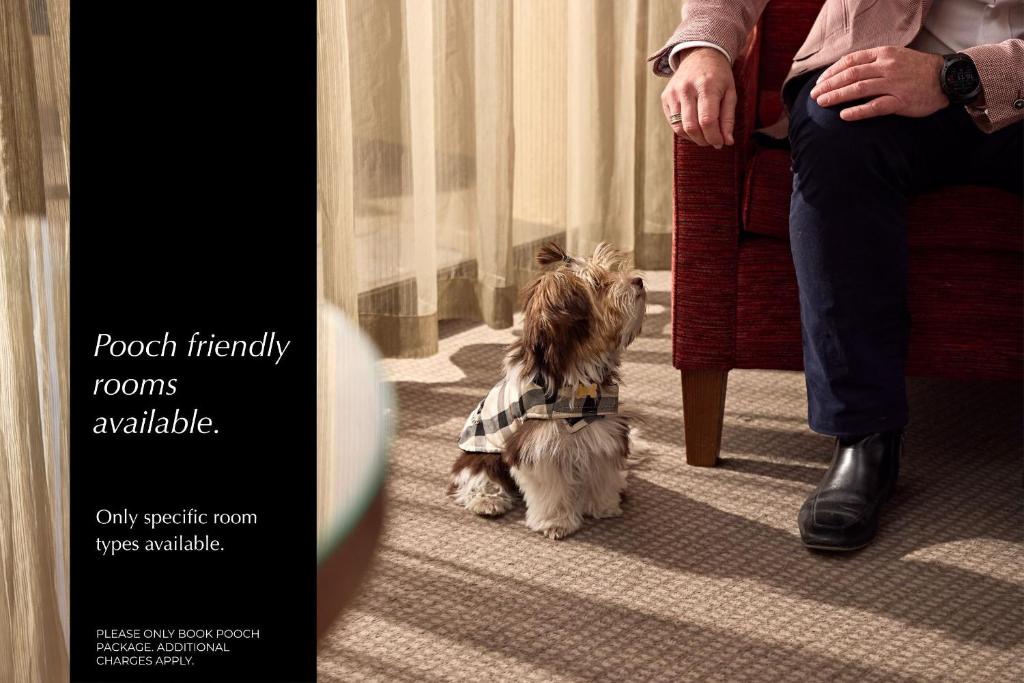 View Sydney - Resim 12