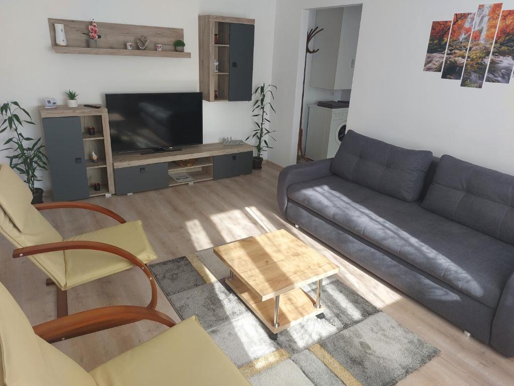 sala de estar con sofá y TV en La Radu, en Lupeni