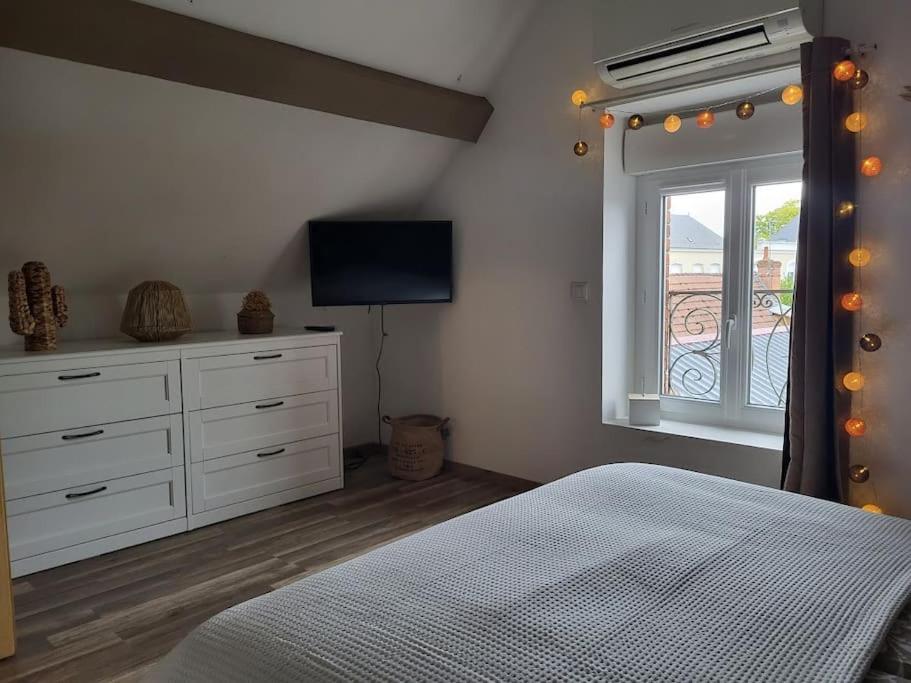 a bedroom with a bed and a television and a window at Très bel appartement cosy en hyper centre in Romorantin