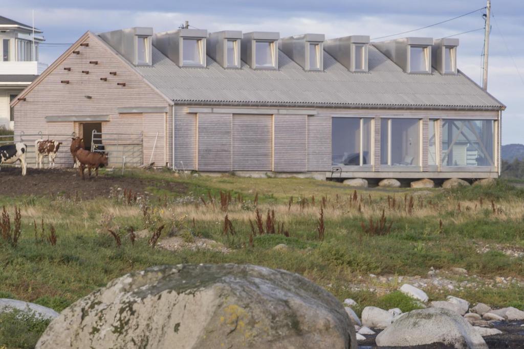 una casa con un grupo de animales parados frente a ella en The Longhouse at Lista en Farsund