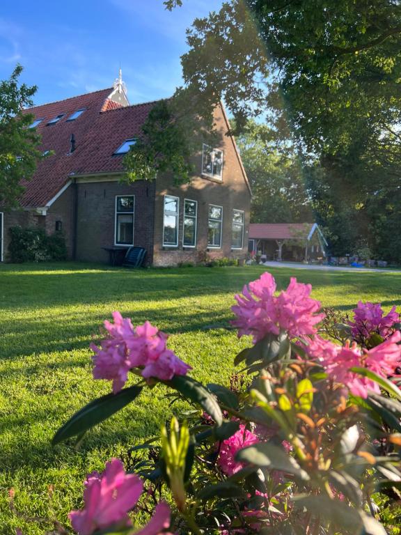 une maison avec des fleurs roses devant elle dans l'établissement BnB Alde Hiemen Friesland, 
