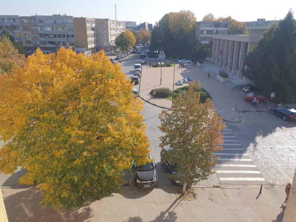 Gallery image of ARAMIS Ultra Central apartment in Giurgiu