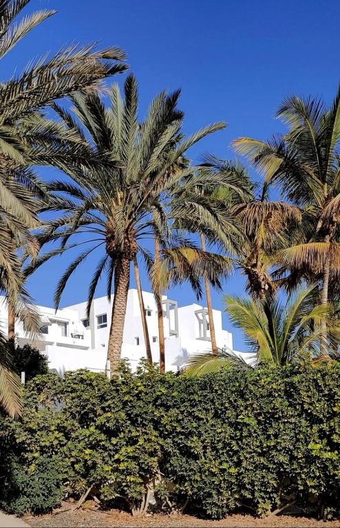 a white house with palm trees in front of it at Estrella de Mar in Tarajalejo