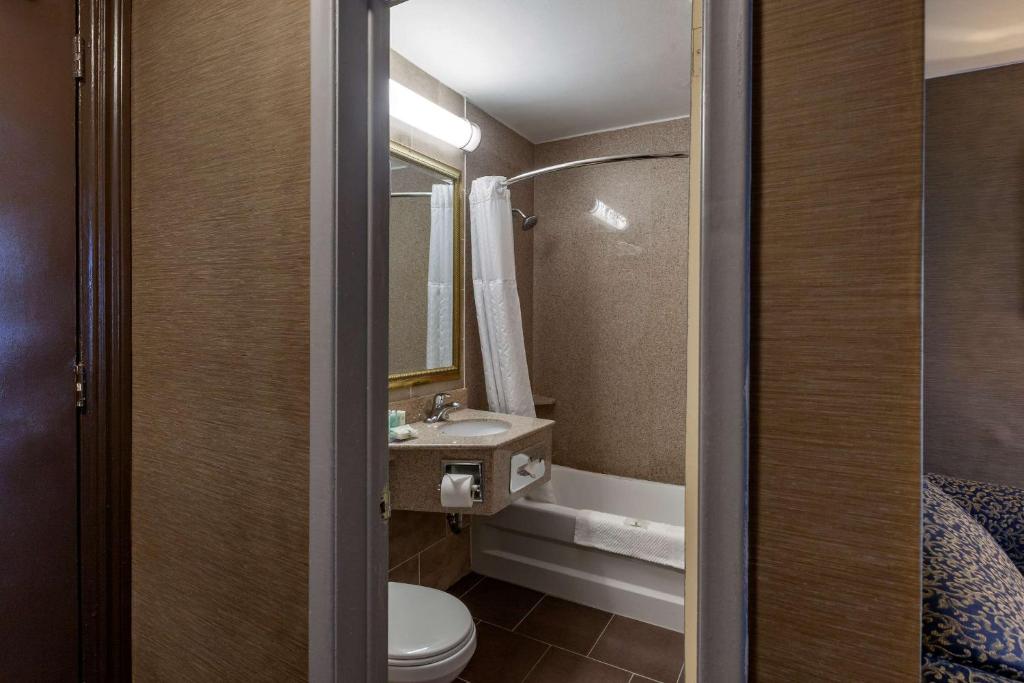 Koupelna v ubytování Quality Inn Toronto Airport