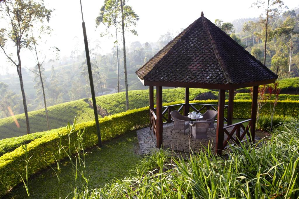 Zahrada ubytování Ceylon Tea Trails - Relais and Chateaux
