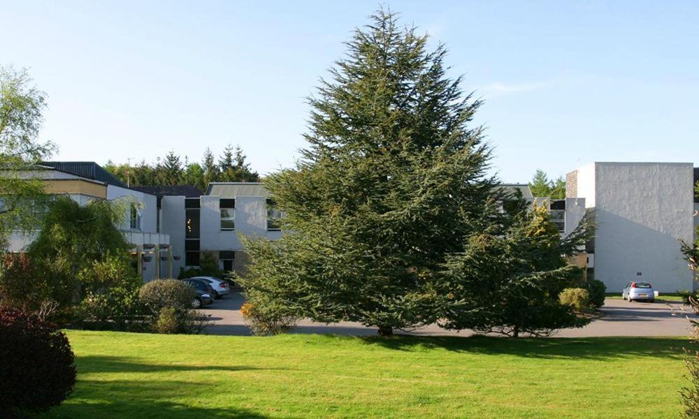 a large pine tree in a yard next to a building at Eight Acres Hotel in Elgin