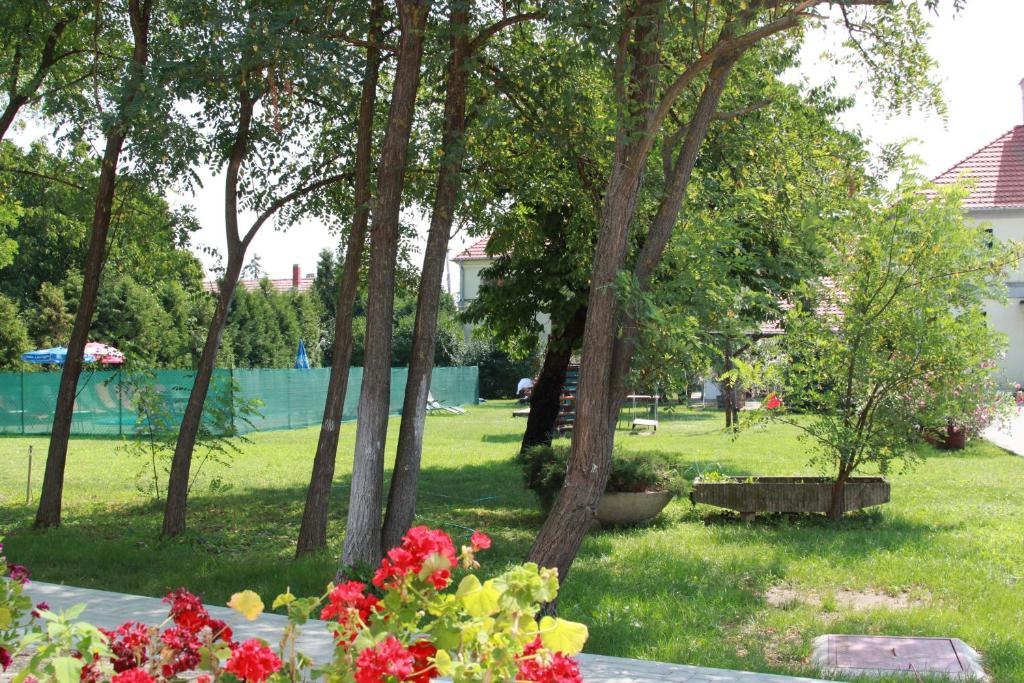 Zahrada ubytování Rábensteiner Panzió