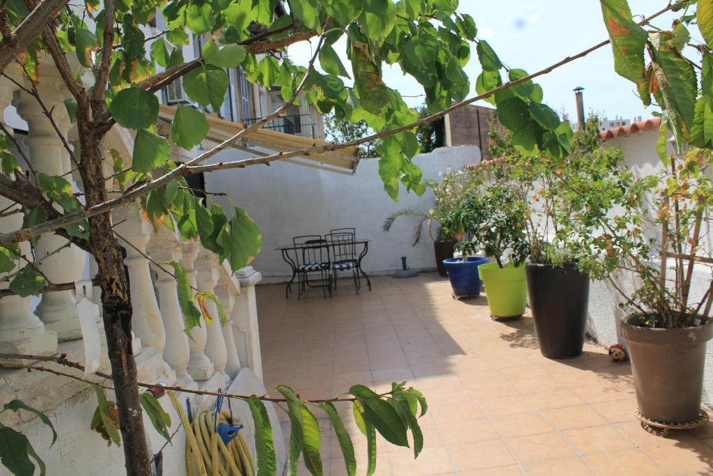 Vonkajšia záhrada v ubytovaní Maison, 2chambres, gde terrasse, prox SNCF, friche et Vieux Port