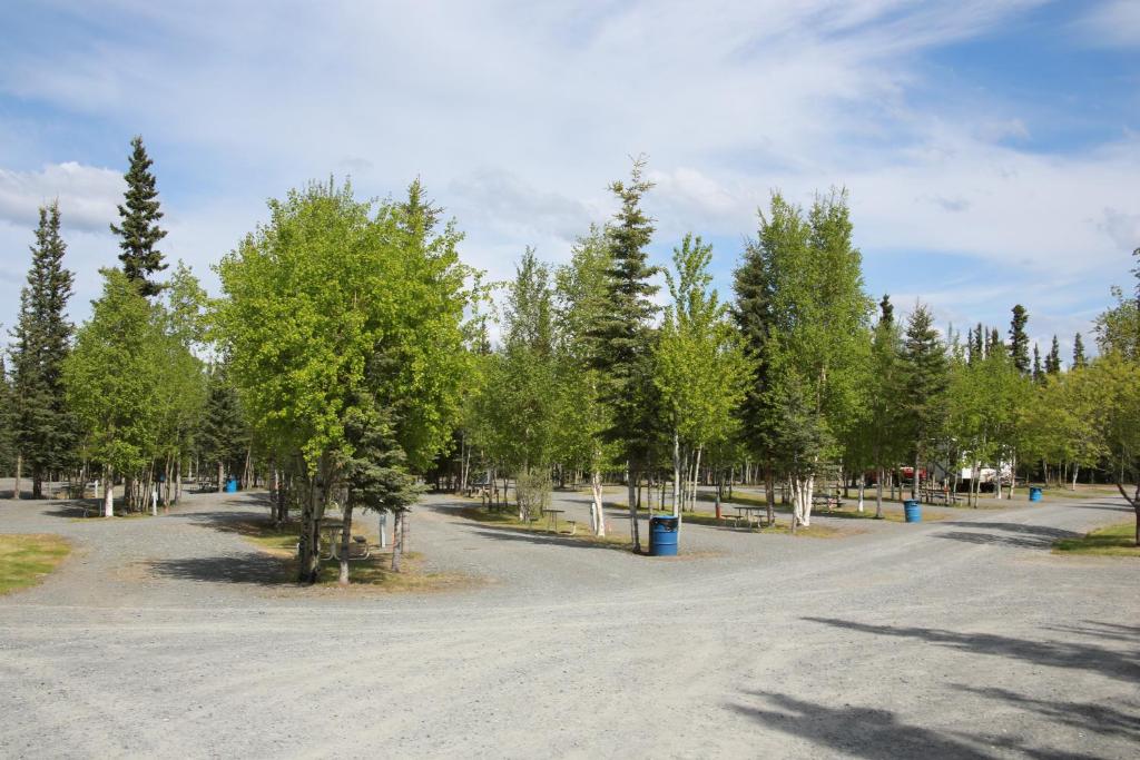 a parking lot with trees and a dirt road at Tok RV Village and Cabins in Tok