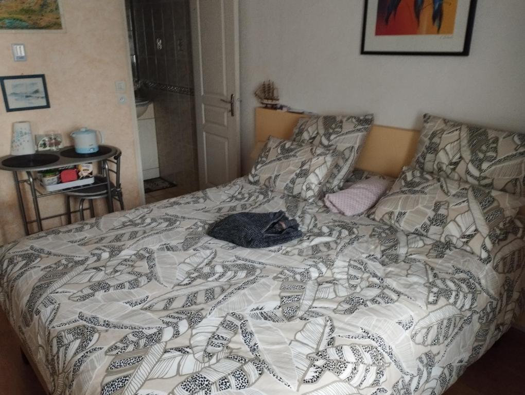 聖馬洛的住宿－chambre d'hote dans maison individuelle，床上躺着一只猫