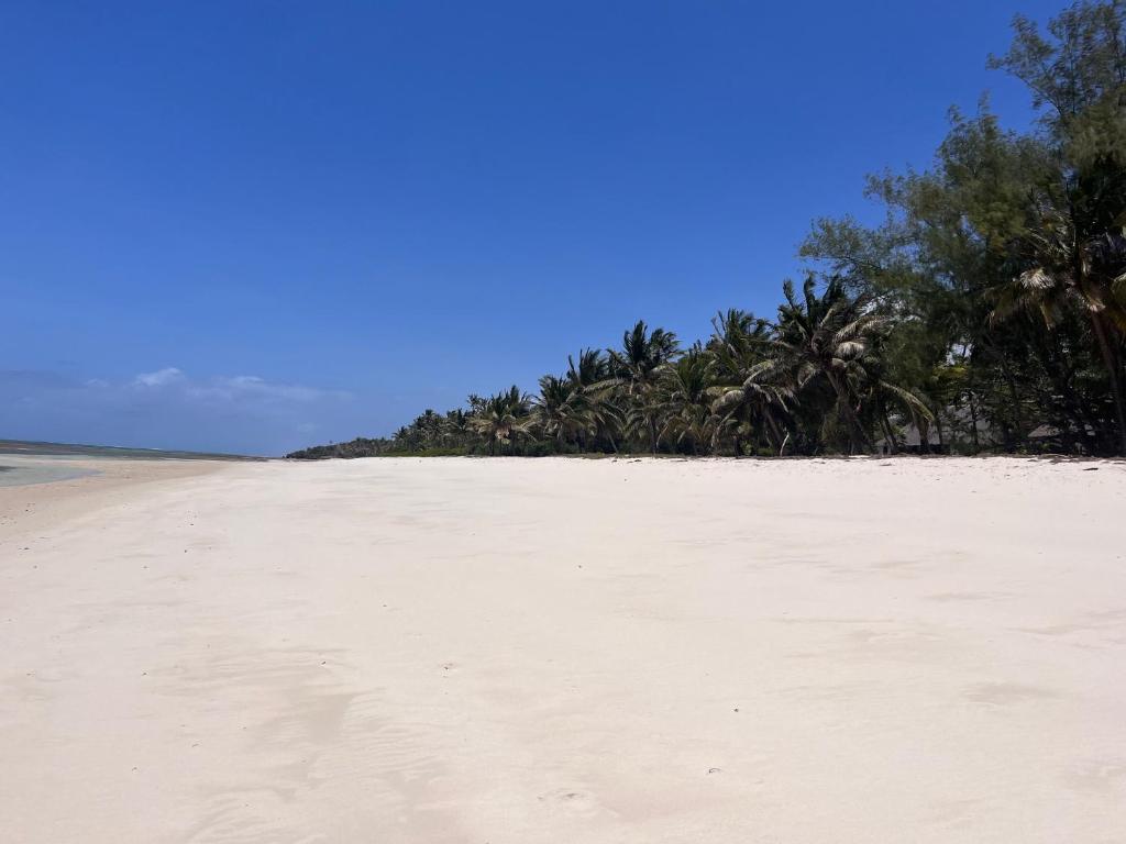una spiaggia sabbiosa con palme sullo sfondo di Tiwi Tatu a Tiwi