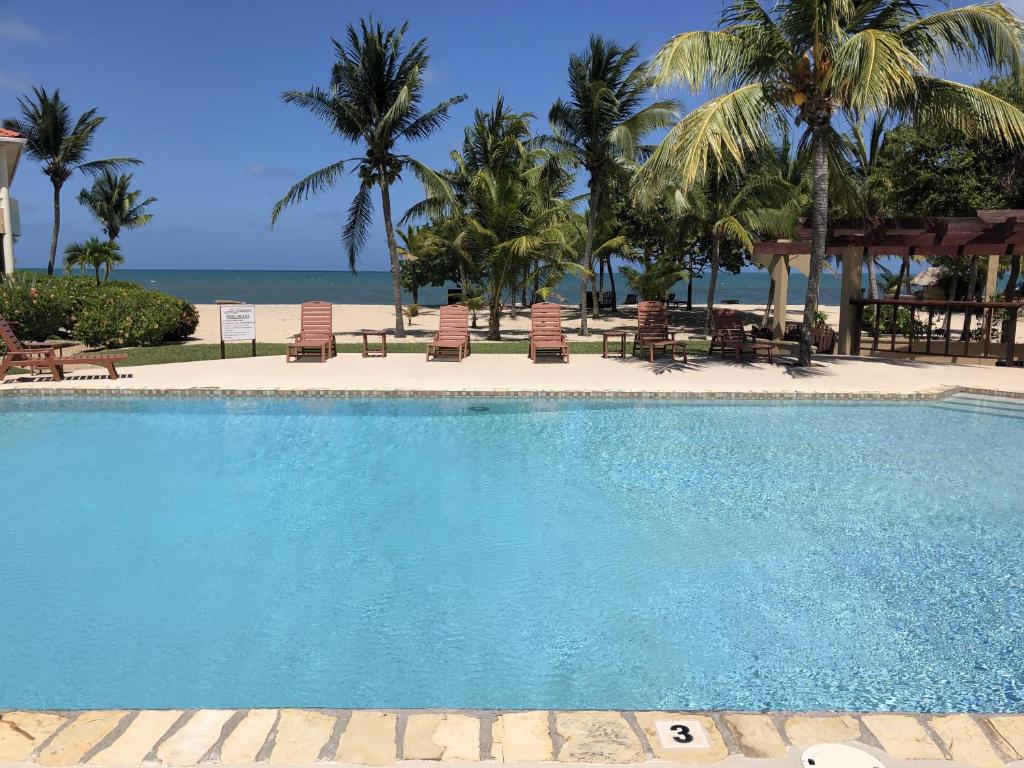 a swimming pool with chairs and the ocean in the background at Los Porticos in Placencia Village