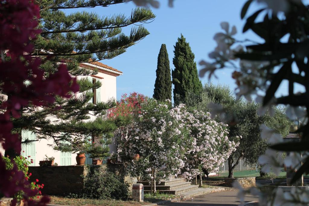 Zahrada ubytování Domaine Le Clos des Oliviers