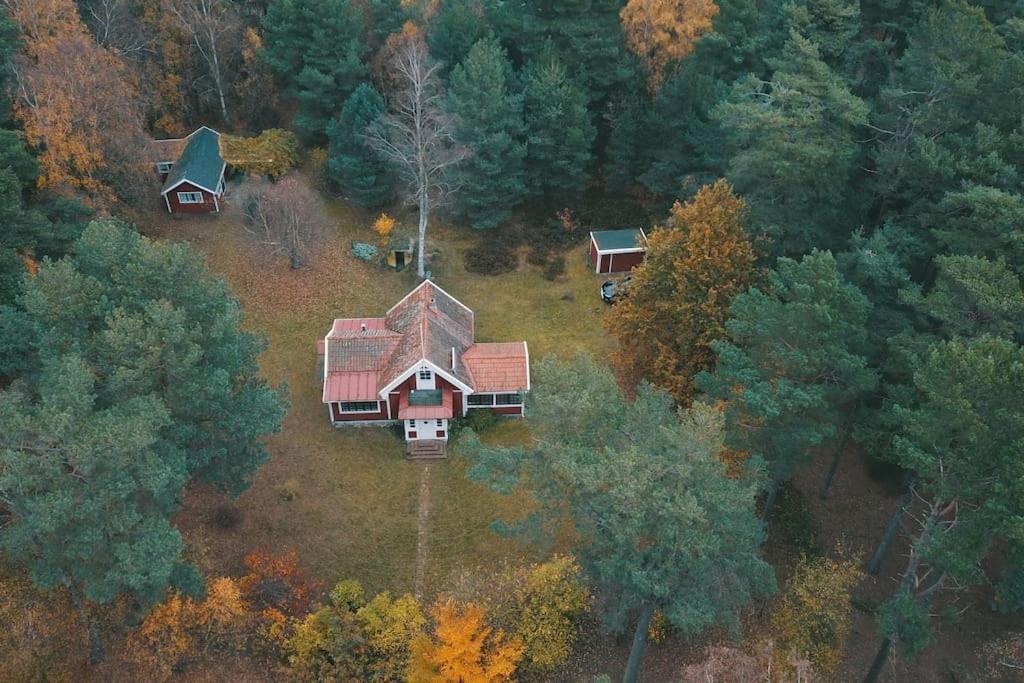 an aerial view of a house in the forest at Ljunghusen Holiday Inn Cottage in Ljunghusen