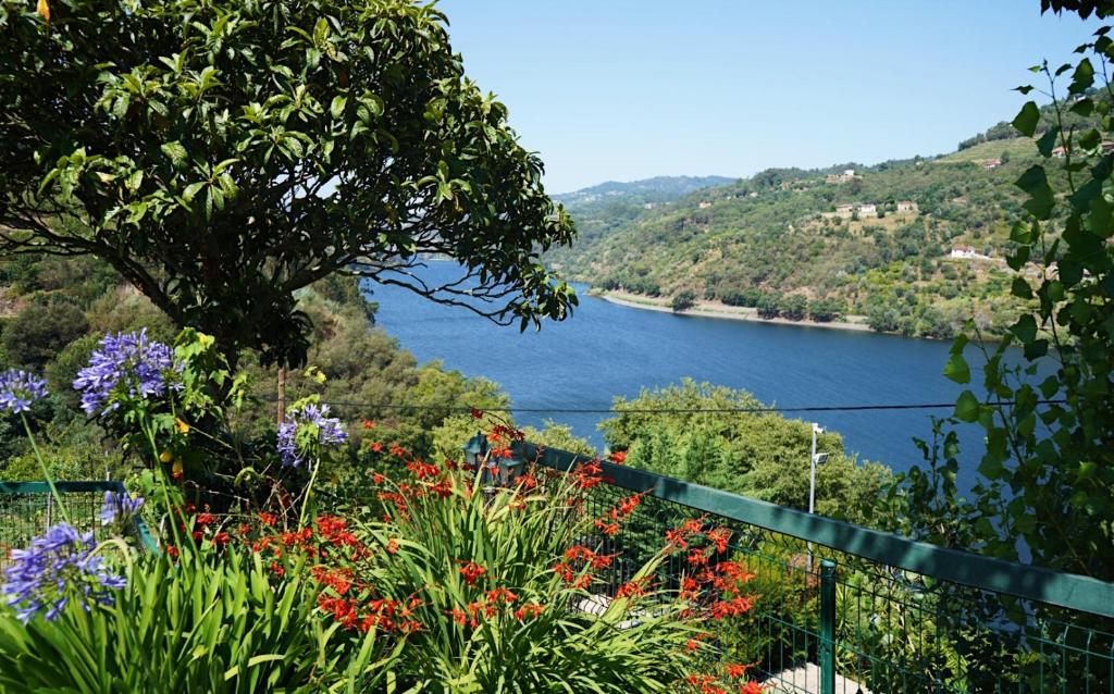 a view of a body of water with flowers at Quinta Da Porta Caseira in Resende