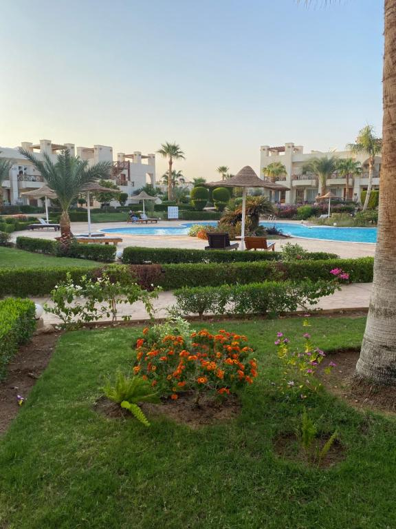 Cozy 1 bedroom apartments very close to Conference centre