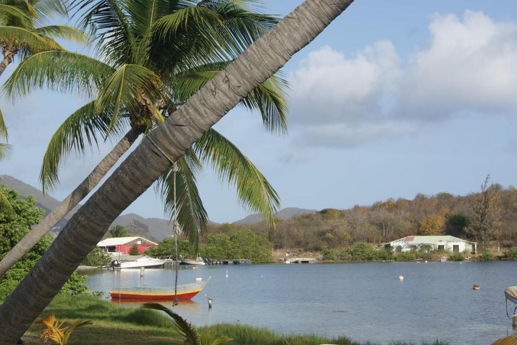 a palm tree and a boat on a lake at Lagoon Terrace grand studio in Saint Martin