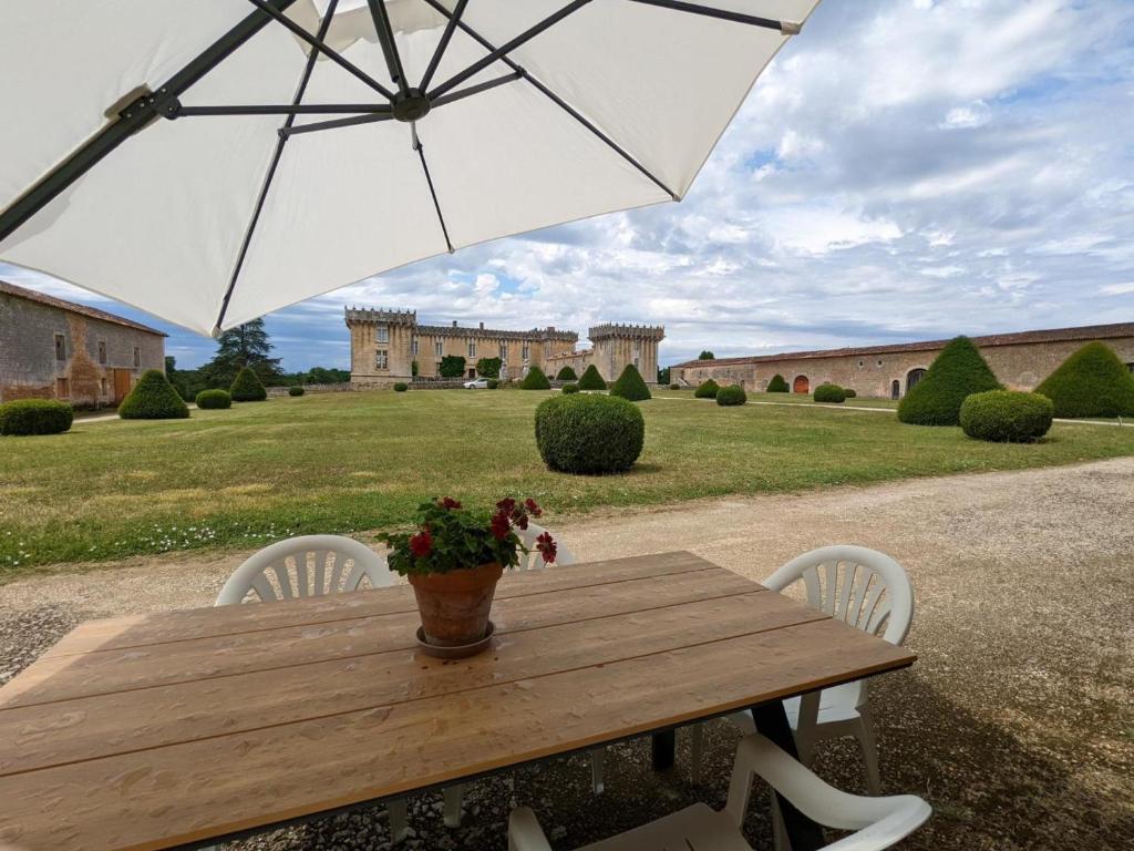 a wooden table with a potted plant and an umbrella at Gîte avec 3 chambres, jardin privatif, 12 vélos, proche de Cognac - FR-1-653-205 in Cherves-de-Cognac