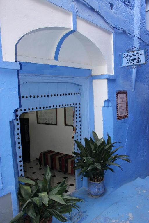 ein blau-weißes Gebäude mit einer Tür und einer Pflanze in der Unterkunft Cordoba Pension in Chefchaouen