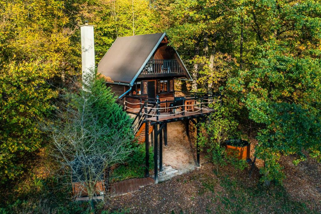 an aerial view of a house in the woods at Wellness chata Sloupnice in Sloupnitz