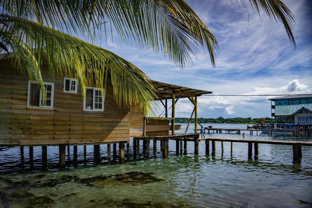 a wooden house on a dock in the water at Hostal On The Sea in Bocas del Toro