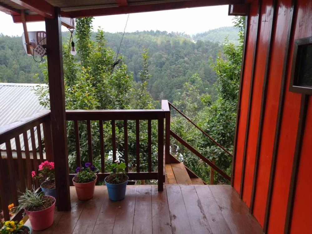un balcón de una casa con macetas. en Casa del bosque 
