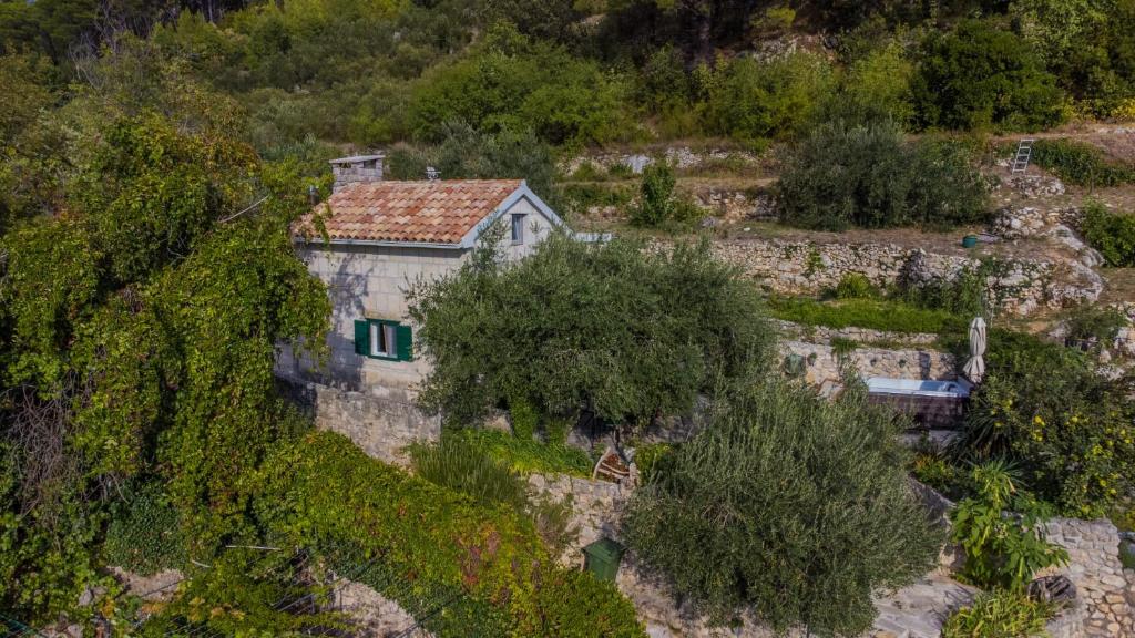 uma vista aérea de uma casa numa colina com árvores em House for rent Didova kuća em Makarska