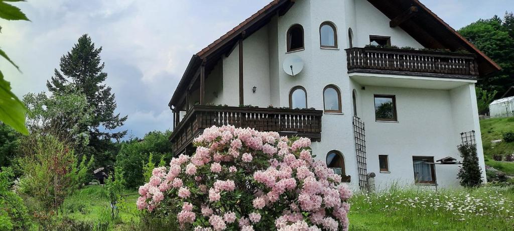 Un bâtiment avec un bouquet de fleurs roses devant lui dans l'établissement Haus Am Waldesrand, à Fichtelberg