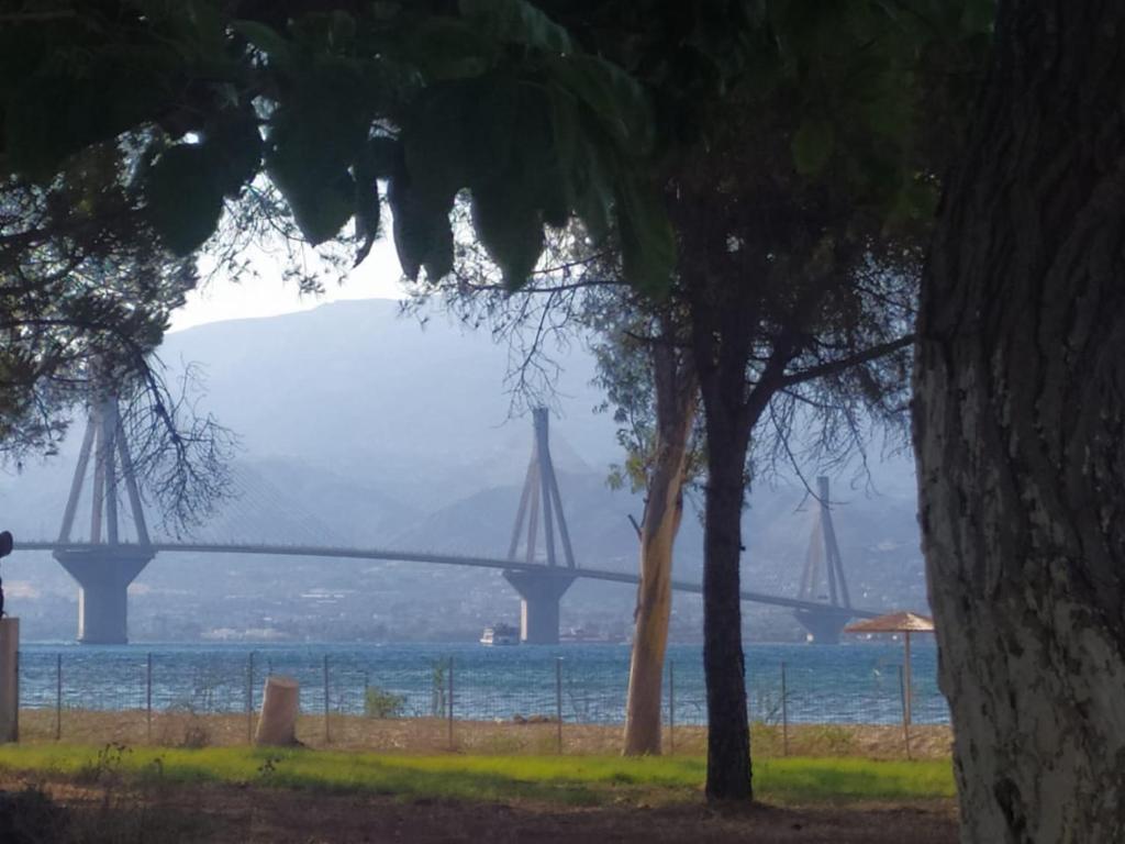 a bridge over the water with trees in the foreground at Antirrio sea side house in Antirrio