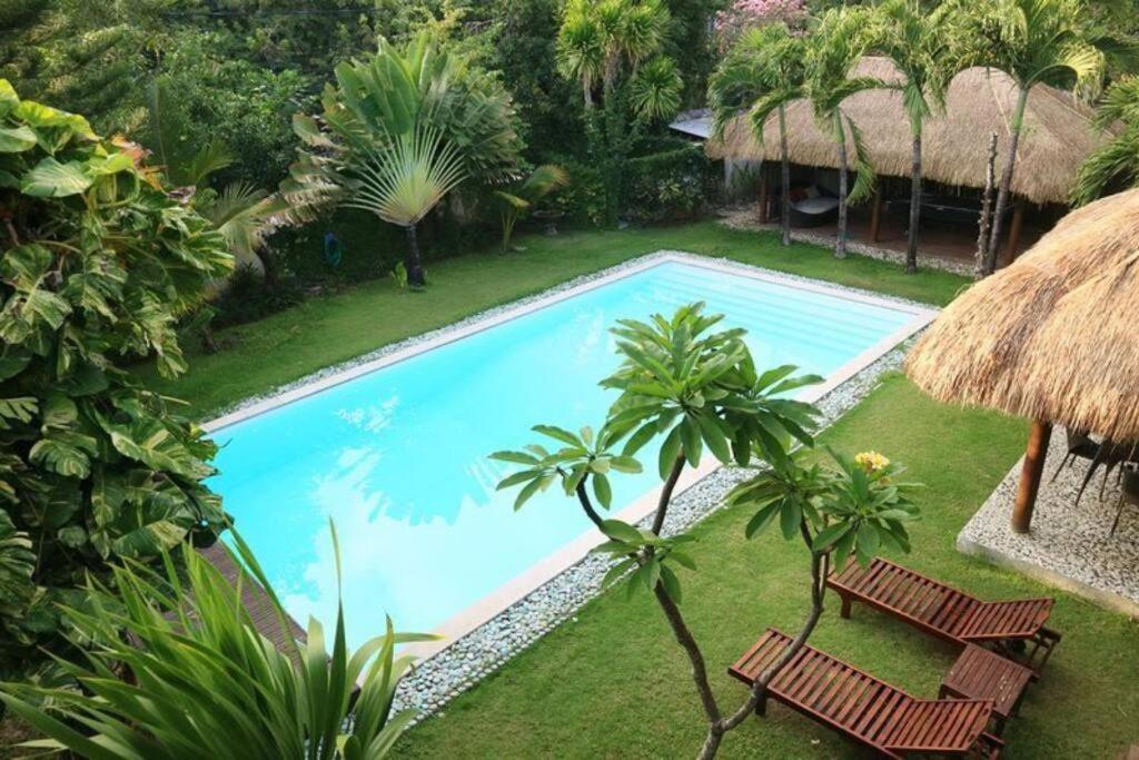 uma vista sobre uma piscina com duas cadeiras e palmeiras em KUTA - 4BR Villa with Private XL Pool em Kuta
