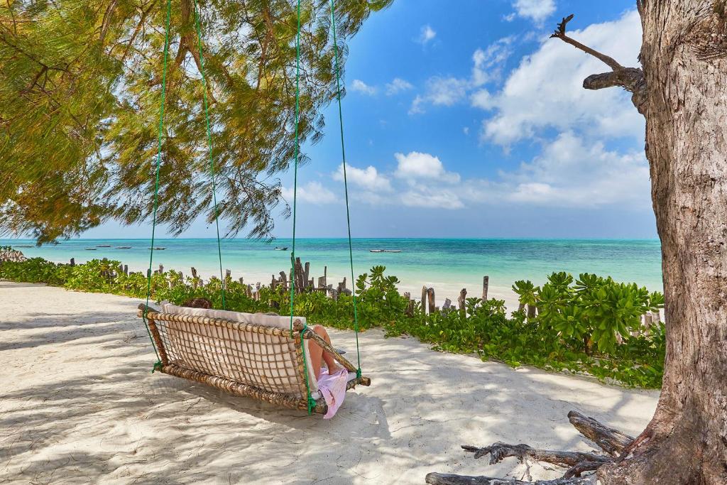 Eine Schaukel hängt von einem Baum am Strand in der Unterkunft Belvedere Resort in Jambiani