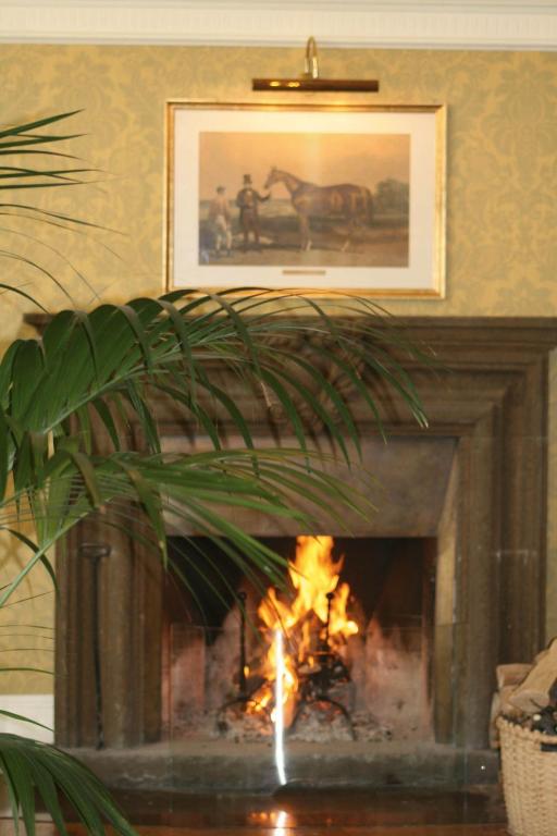 Fotografie z fotogalerie ubytování Albergo Alla Posta v Terstu