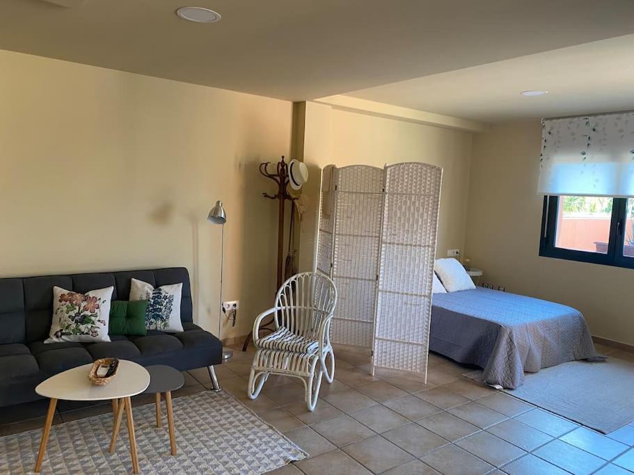 ein Wohnzimmer mit einem Sofa und einem Bett in der Unterkunft Apartamento con piscina en Alicante, Beniarbeig in Beniarbeig