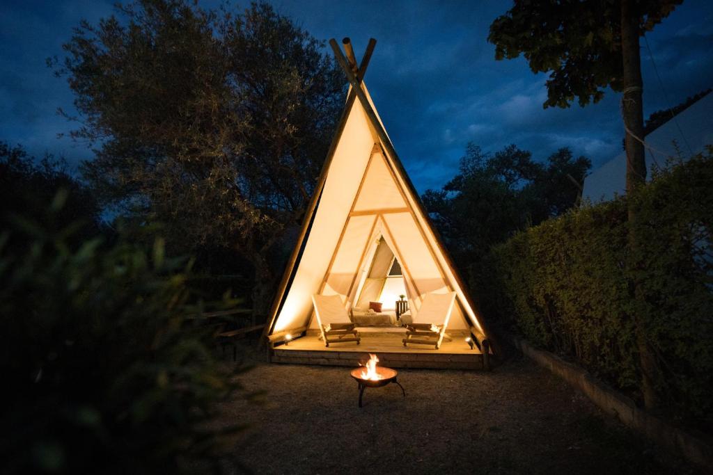 zelt spanngurte Camping Zelt Clips Spanngurte elastisch 10 Stück 20 Stück verschiedene –  clever-outdoor.de main image 1