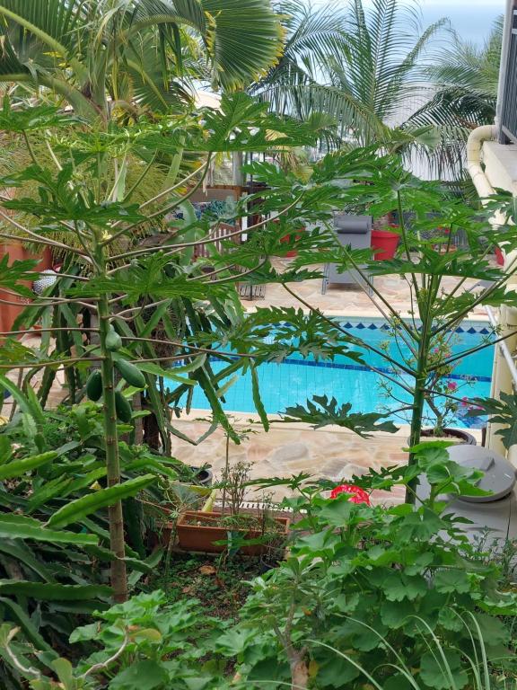 Bazén v ubytování Nidamour, un logement fait pour vous nebo v jeho okolí