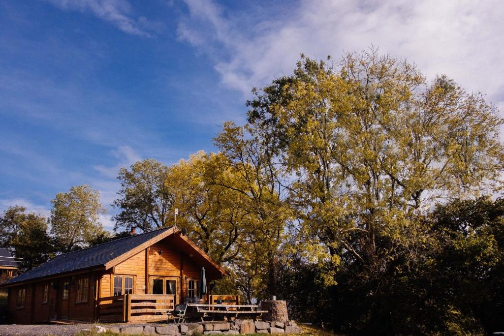 a log cabin with a table and a tree at Bothy Cabin -Log cabin in wales - with hot tub in Newtown