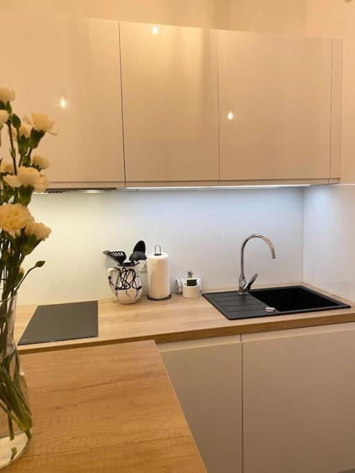 Fotografie z fotogalerie ubytování Ultra Apartments Kamienica Nova II v destinaci Štetín
