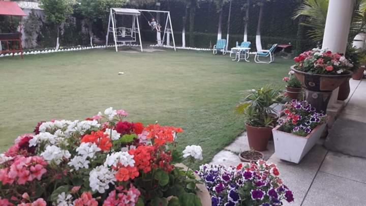 Alaf Laila Guest House - Budget Double Room