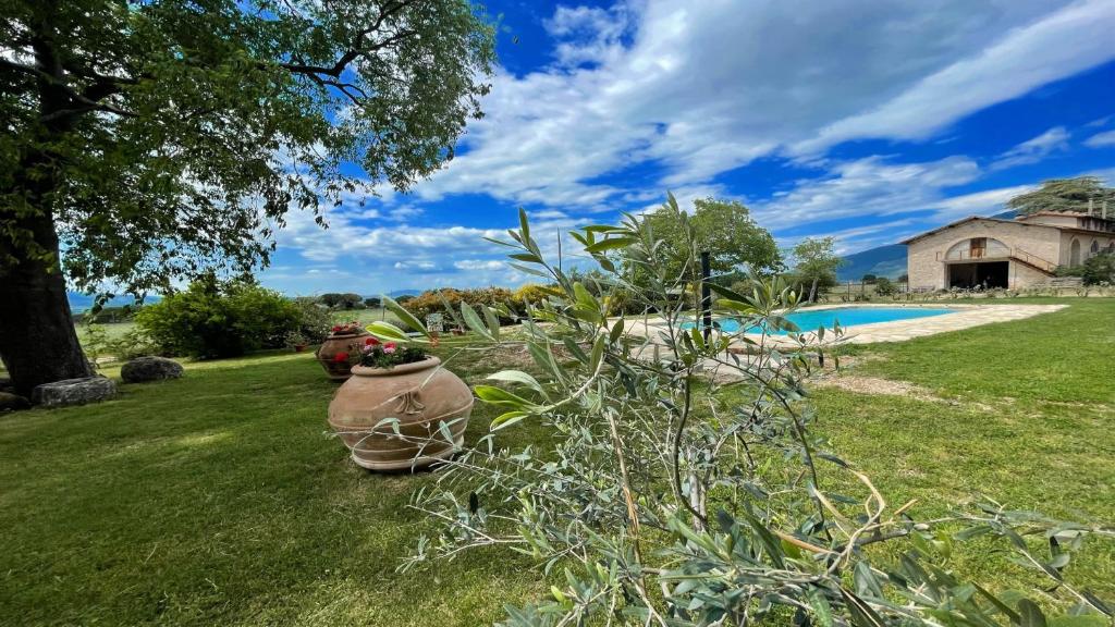 a yard with a pool and some plants at Exclusive Pool-open All Year-spoleto Biofarm-slps 8-village shops, bar1 km 2 in Poreta