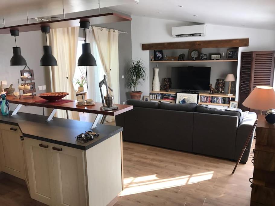 a living room with a couch and a television at La Maison des Délices in Le Beausset