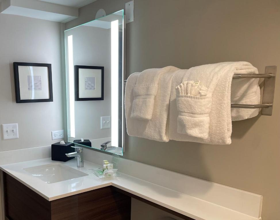 Holiday Inn Hotel & Suites Chicago - Downtown by IHG - Standard King Room